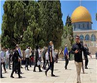 «عشرات المستوطنين» يقتحمون الأقصى بحماية شرطة الاحتلال الإسرائيلي