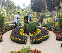 مدير المركز الإقليمي للإصلاح الزراعي بالشرق الأدني يزور معرض زهور الربيع