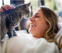 دراسة تؤكد أن «القطط» تلعب دورا كبيرا في انتقال فيروس كورونا