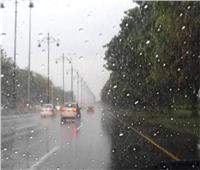 أمطار خفيفة ورياح محملة بالأتربة على مدن وقرى كفر الشيخ 