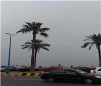 أمطار خفيفة على الإسكندرية.. وانتظام حركة الملاحة البحرية| صور