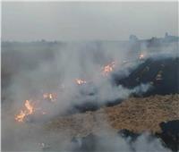 إخماد حريق بمقلب مخلفات زراعية بالمنطقة الصناعية بسوهاج 