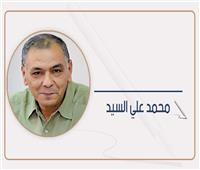 محمد علي السيد: يكتب على باب مصر
