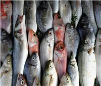 استقرار أسعار الأسماك اليوم فى سوق العبور 
