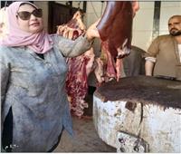 حملة مكبرة لأجهزة محافظة الغربية لضبط المواد الغذائية واللحوم الغير صالحة