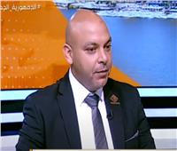 «برلماني»: سياسة مصر الخارجية عنوانها «الدبلوماسية الشاملة»