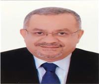 برلماني: مشاركة الرئيس السيسي بالكوميسا تؤكد دور مصر في تنمية أفريقيا