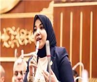 نائبة: زيادة برامج تشجيع المرأة الريفية يوفر الحياة الكريمة للأسرة المصرية