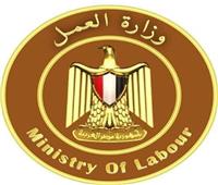 وزارة العمل: عودة مستحقات مواطن أصيب فى عمله بالسعودية
