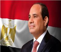 10 سنوات على ثورة 30 يونيو.. نجاح الدبلوماسية المصرية في استعادة مكانة مصر الدولية