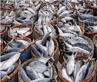 استقرار أسعار الأسماك في سوق العبور اليوم الإثنين 12 يونيو