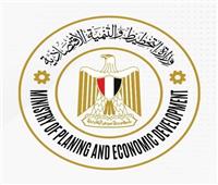 «التخطيط» تصدر بيانات الناتج المحلي الإجمالي لنحو أربعين عاما في مصر