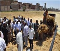 محافظ أسيوط يعلن ارتفاع توريد محصول القمح إلى 117 ألف طن للشون والصومع