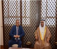 رئيس البرلمان العربي يلتقي النائب الأول للمجلس الوطني الأذربيجاني