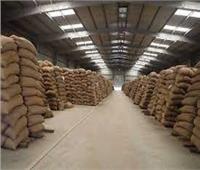 شون وصوامع المنيا تستقبل 438 ألف طن من القمح بجميع المراكز