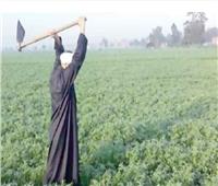 «ازرع».. مبادرة تستهدف تشجيع المزارعين على زيادة إنتاج القمح