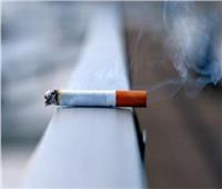 التجار يتلاعبون.. رئيس شعبة الدخان يكشف الزيادة الحقيقية لأسعار السجائر