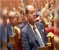 «برلماني»: مشاركة مصر بمبادرة حل أزمة روسيا واوكرانيا مقدر عالميا لتسوية الصراع