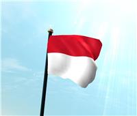 إندونيسيا تتعاقد مع «تاليس» الفرنسية لشراء 13 رادارا طويل المدى لتحسين المراقبة الجوية