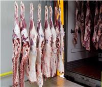 التموين: منافذ متنقلة لتوفير اللحوم الطازجة والمبردة بالمحافظات