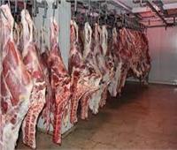 «التموين تكشف» أسعار اللحوم بالمجمعات الاستهلاكية