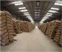 أستاذ اقتصاد زراعي: مصر أصبحت مركزًا لوجيستيًا في تداول الحبوب وتخزينها