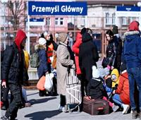 ألمانيا: عدد السكان يتخطى 84.4 مليون شخص بسبب تدفق اللاجئين الأوكرانيين