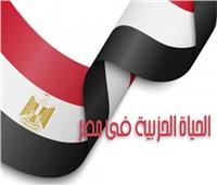 تأسيس حزب جديد تحت اسم «شعب مصر»