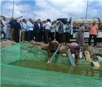 لزيادة المخزونات السمكية.. إطلاق 600 ألف وحدة زريعة سمكية في بحيرة مريوط
