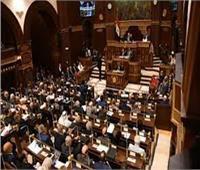 برلماني:  الرئيس يحمل إشكاليات القارة الأفريقية بالقمة المصرية الفرنسية