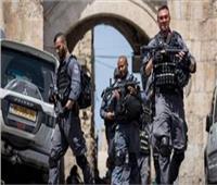 الشرطة الإسرائيلية تقمع تظاهرة مساندة للجولان وجنين ونابلس في «حيفا»