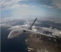 الكشف عن الطائرة بدون طيار «فالكو» المسلحة بصواريخ الكبريت    