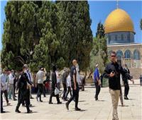عشرات المستوطنين الإسرائيلين يقتحمون المسجد الأقصى 