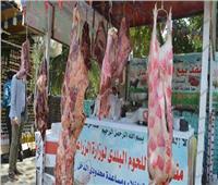 توافر السلع الغذائية واللحوم في منافذ وزارة الزراعة بمختلف المحافظات 