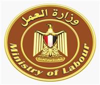 «العمل»: مكتب التمثيل العمالي بإيطاليا يُعيد مستحقات عمال مصريين
