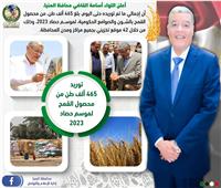 شون وصوامع المنيا تستقبل 465 ألف طن من القمح بجميع المراكز