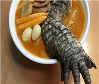 «رجل التمساح».. مطعم تايواني يقدم أغرب المأكولات في العالم