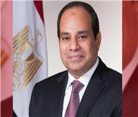 الرئيس السيسي: الشعب المصري رفض اختطاف الوطن واستعاد وحدته في 30 يونيو