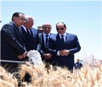 وزير الزراعة: العلاقات الدولية المتميزة والمتنامية ساهمت في تعزيز تنافسية الصادرات الزراعية المصرية