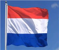 نائب هولندي: الهجمات على سفارتي روسيا وبيلاروس لن تساعد أحدًا