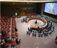 الجمعة القادم.. مجلس الأمن يصوت على تمديد إتفاق "باب الهوى" لايصال مساعدات للنازحين السوريين