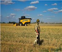 روسيا تؤكد عدم وجود أسس لتمديد صفقة الحبوب