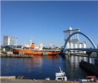 توقف حركة الشحن في أكبر ميناء ياباني بسبب هجوم إلكتروني