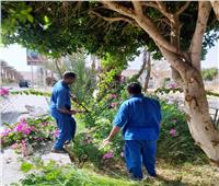 استئناف المبادرة الرئاسية لزراعة 100 مليون شجرة بمدينة أبو سمبل السياحية 