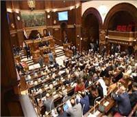 عضو مجلس الشيوخ: العلاقات المصرية الإيطالية شهدت نقلة نوعية في عهد الرئيس 