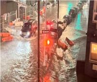أمطار غزيرة وفيضانات تضرب ولاية نيويورك والسلطات تعلن حالة طوارئ