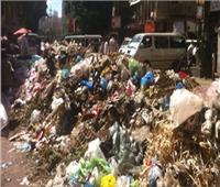«الداخلية» تكشف حقيقة تعاطي جامعي القمامة المخدرات بمحطة باكوس بالإسكندرية