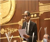 برلماني: قمة دول جوار السودان مبادرة مصرية مُخلصة لإنهاء الصراع العسكري