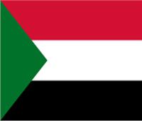 «كتلة الحوار» ترحب باستعادة مصر لدورها الوازن في أزمة السودان  