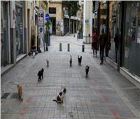 وباء يتسبب بقتل 300 ألف قط في قبرص .. تعرف عليه